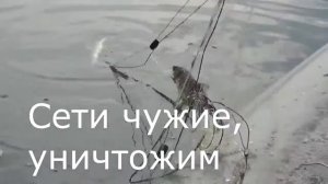 Рыбалка. Ловля плотвы. На Ангаре. Fishing. Catching roach. On the Hangar