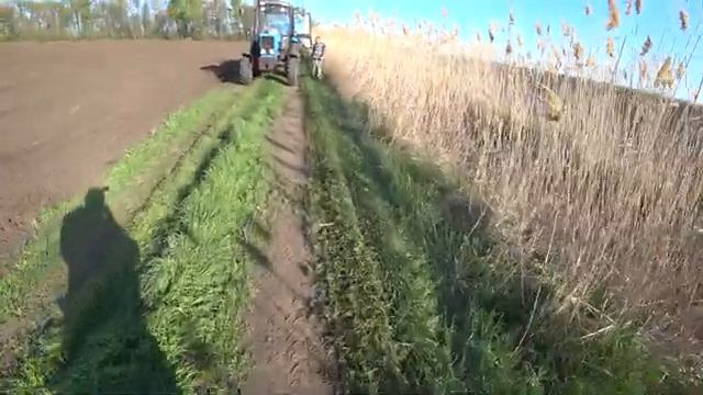 Посев Подсолнечника в Краснодарском Крае / Подсолнечник 2022 / Весенняя посевная смотреть онлайн