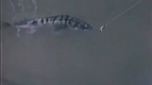 РЫБАЛКА СССР. #рыбалка