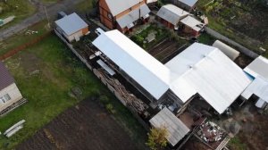 ? Домашнее содержание свиней