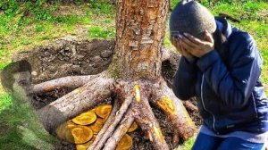 ОБАЛДЕТЬ, сколько находок скрывалось под корнями деревьев. В поиске кладов и тайников в лесу