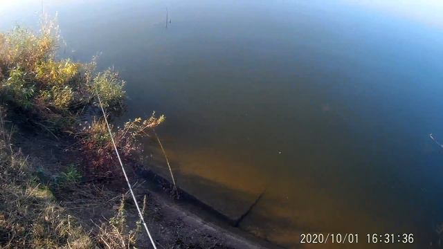 Мелкая щучка... смотреть онлайн