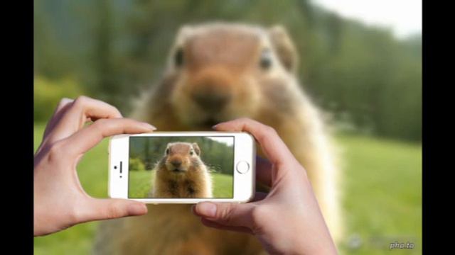 Турбо-суслик - актерское мастерство смотреть онлайн