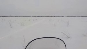 Yamaha RS Viking Professional