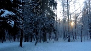 Шуваловский парк, зима 2022.avi