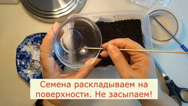 Сеем петунию правильно. И результат будет шикарный! смотреть онлайн