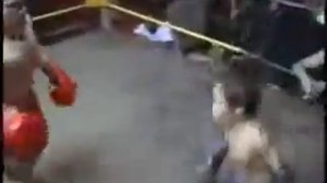 Бои карликов