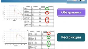 Инструментальные методы диагностики в пульмонологии. Панфилов Ю.А.