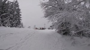 БЕЗ ПРИВИВКИ,  ИДИ ПЕШКОМ, подъемники для лыжников в Баварии