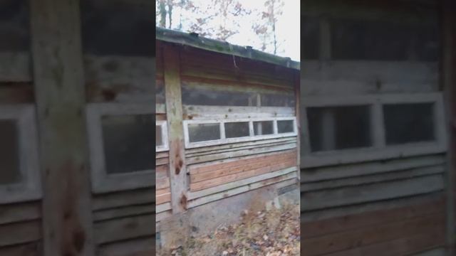 Пчелиный дом смотреть онлайн