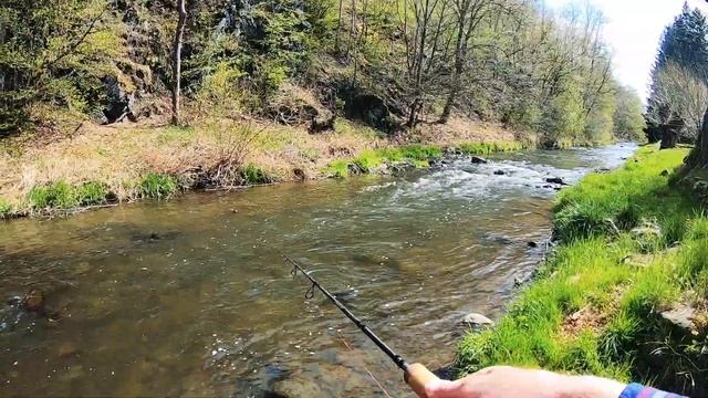 СПИННИНГ: Скрытые сокровища малых речек. Ручьевая форель на воблер. Таинственная пеструшка. смотреть онлайн