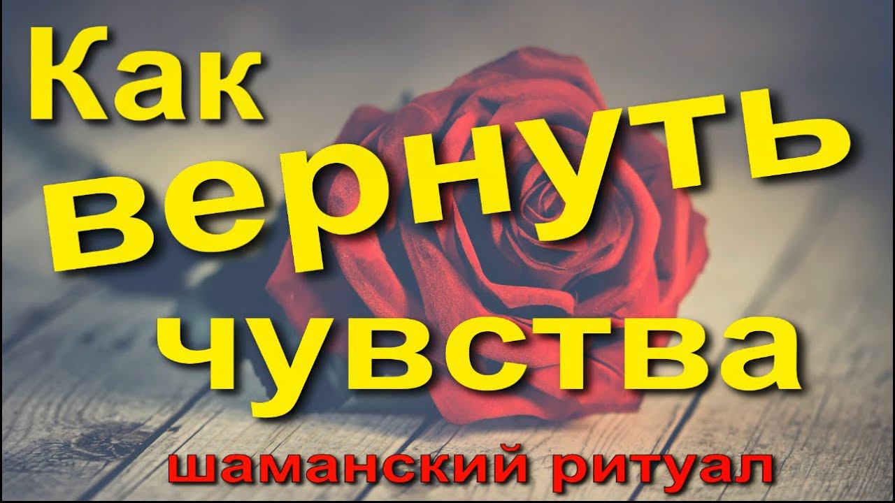 Как вернуть чувства