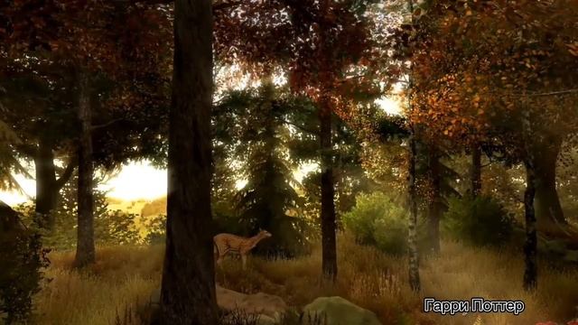 Гарри Поттера и Философский камень смотреть онлайн