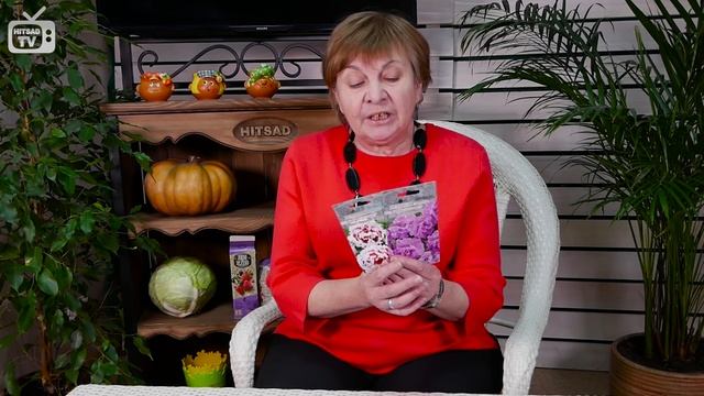 ПЕТУНИЯ ? Семена петунии ? Какой сорт выбрать? Обзор сортов петунии от hitsadTV смотреть онлайн