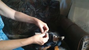 снимаем пластырь