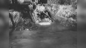 Почему Тигр и другие немецкие танки были квадратными? Вторая Мировая Вторая Мировая