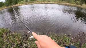 На реке с Shimano 16’Soare XTUNE 706UL-T