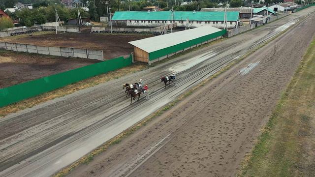 20.08.2022г.Абакан Групповой заезд Рысистых пород 4-х лет  1600м