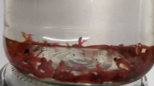 САМАЯ ХИТРАЯ НАСАДКА! КЛЮЁТ ЛУЧШЕ ЧЕМ НА ПРОСТОГО МОТЫЛЯ ЧЕРВЯ И ОПАРЫША! СУПЕР РЫБОЛОВНАЯ НАСАДКА!