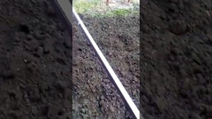 Поливная система для дома (3 улитки)