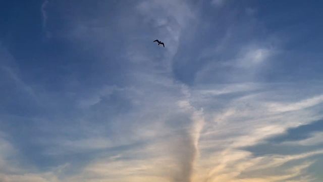 Jimny Overland Trip In Sardinia - 2021 смотреть онлайн