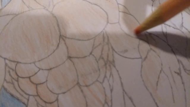 Drawing The Triteam смотреть онлайн