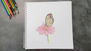 Рисуем бабочку на цветке
