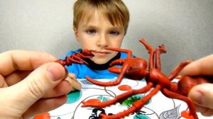 Насекомые распаковка игрушек.