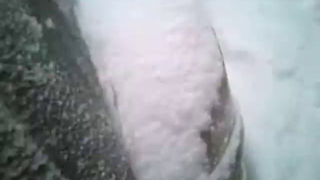 Дальнобой. Тверь таможня смотреть онлайн