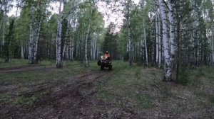 Обновил квадроцикл ? BRP renegade 1000