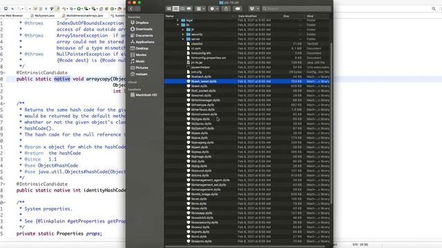 Daily Dose of Java -- Part 24: Copying Arrays смотреть онлайн