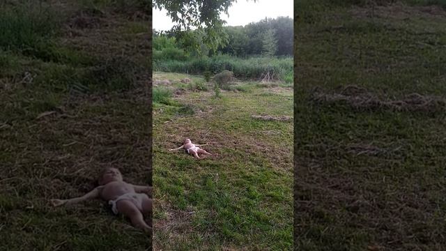 Детская постановка о добром самарянине. смотреть онлайн