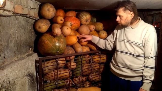 Как хранить гарбуз тыкву зимой   #тыква #кормлениенутрий #гарбуз