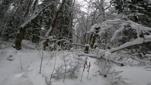 Карелия Медвежьегорский район п Лавас Губа 4к видео камера гопро 9 смотреть онлайн