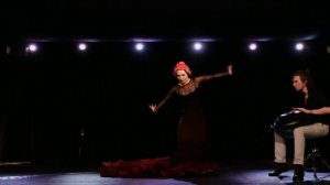 Ханг-драм и фламенко