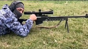 Что за тигр этот лев!? ??☝️?