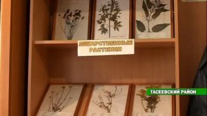 Работники лесной отрасли открыли собственный музей к 65-летниюУсольского лесхоза