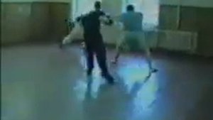 система русского вибрационного боя Н.Кудряшова
