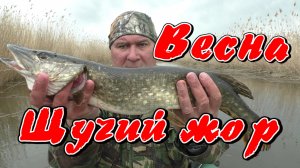Весна. Щучий жор..mp4