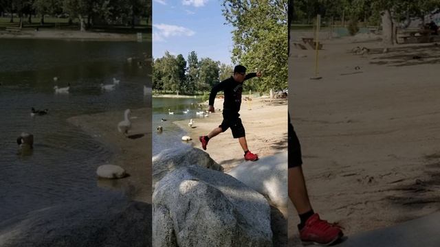 Parque de los patos WHITTER NARROWS CALIFORNIA смотреть онлайн