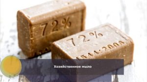 5 простых способов вывести моль | Как избавиться от моли в доме, в квартире и в шкафу