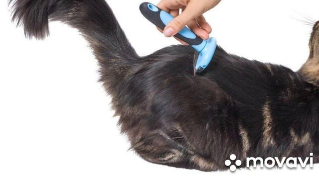 моя кошачка смотреть онлайн