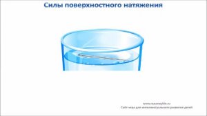 Сила поверхностного натяжения. Проводим опыты.