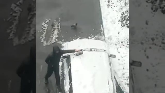 Зачем нужна щетка когда есть кроссовок?! смотреть онлайн