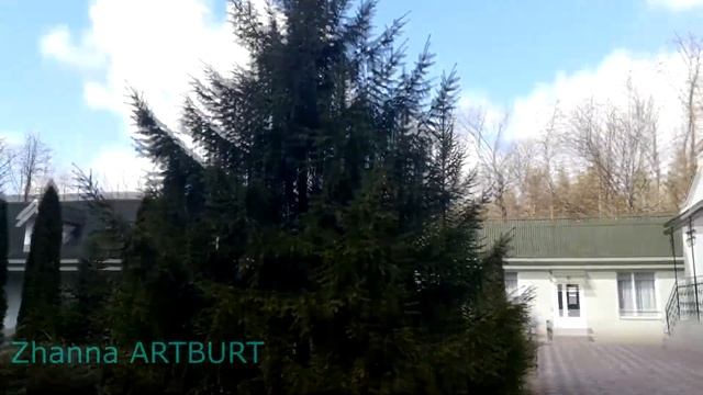 VLOGик 21 березня 2021, по дорозі в Київ знайшли проліски в лісі)) смотреть онлайн