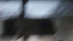 Тверская область, Торопецкий район, дорога из Пятницкого в Скворцово. Осень.