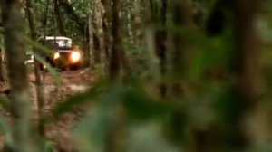 Племена Майя