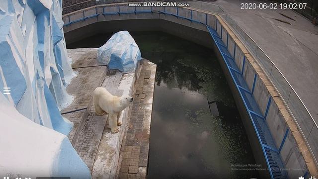 Кай посмотрел на камеру, поговорил и пошёл спать 02.06.2020 смотреть онлайн