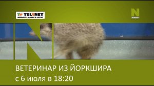 Смотрите в сети TELENET: с 6 июля по будням в 17:20 на Viasat Nature «Ветеринар из Йоркшира» 12+