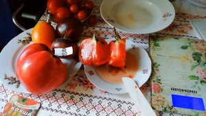 САМЫЙ СЛАДКИЙ ТОМАТ. УРОЖАЙНЫЙ ТОМАТ. ДЕГУСТАЦИЯ ТОМАТОВ. АГРОФИРМА ПАРТНЕР ПРОТИВ СИБИРСКИЙ САД.